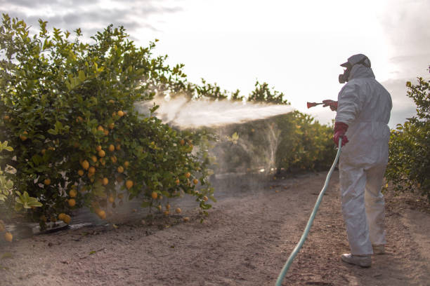 Best Insect Control  in Marion, IL