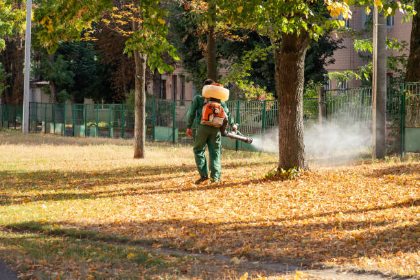 Reliable Marion, IL Pest Control Solutions