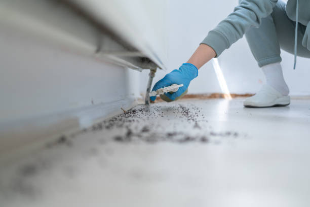 Best Commercial Pest Control Services  in Marion, IL